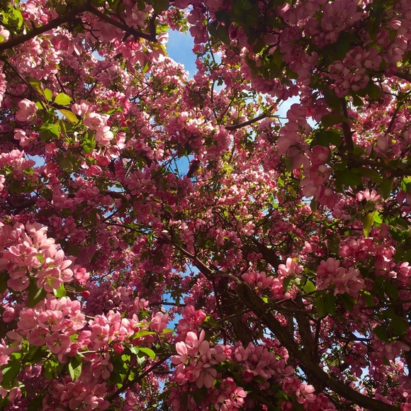 Meet your Posher gado_gado - Picture 6 of 10